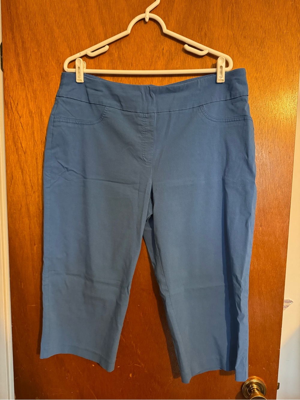 Ruby Rd. Light Blue Pull-On Capri Pants
